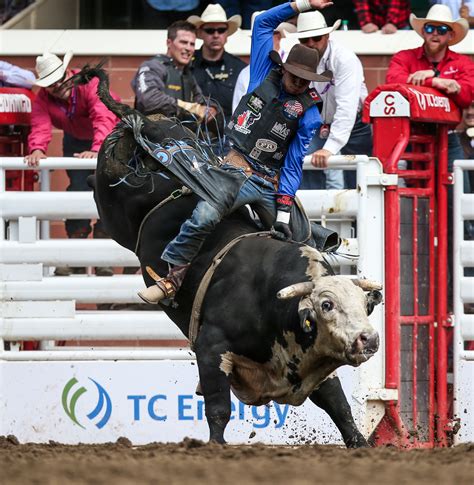 trampede calgary video|Calgary Stampede Rodeo Day 4